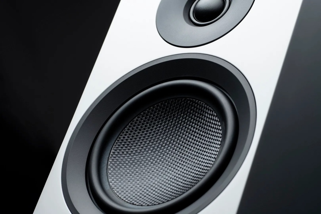 Speaker-Box-5-E-Carbon-detail-woofer-1.jpg