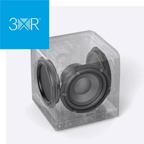 Сабвуфер Definitive Technology DN12 Черный