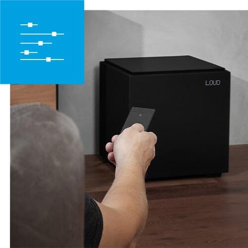 Сабвуфер Definitive Technology DN12 Черный