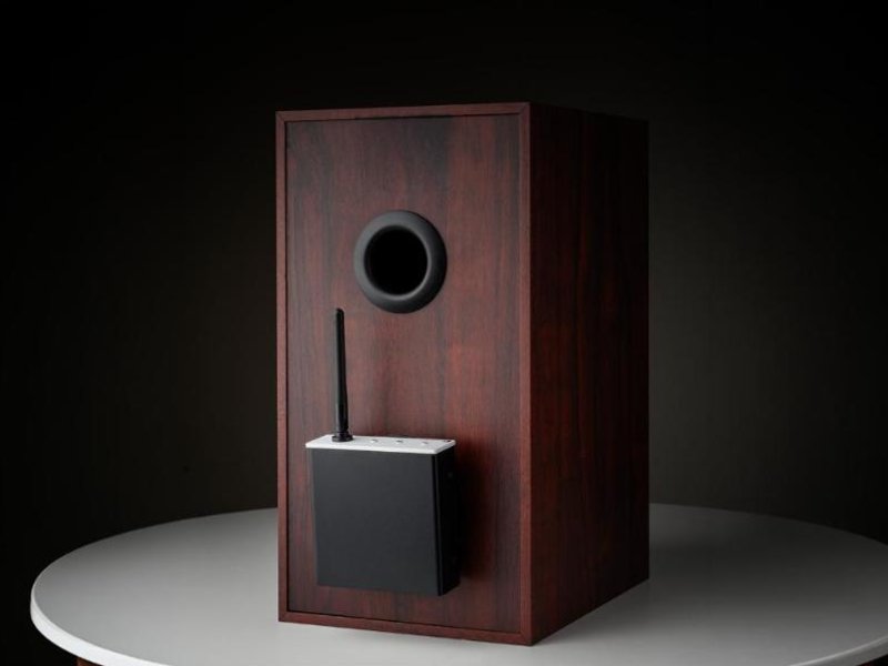 Pro-Ject Wireless Box E на задней панели полочной колонки