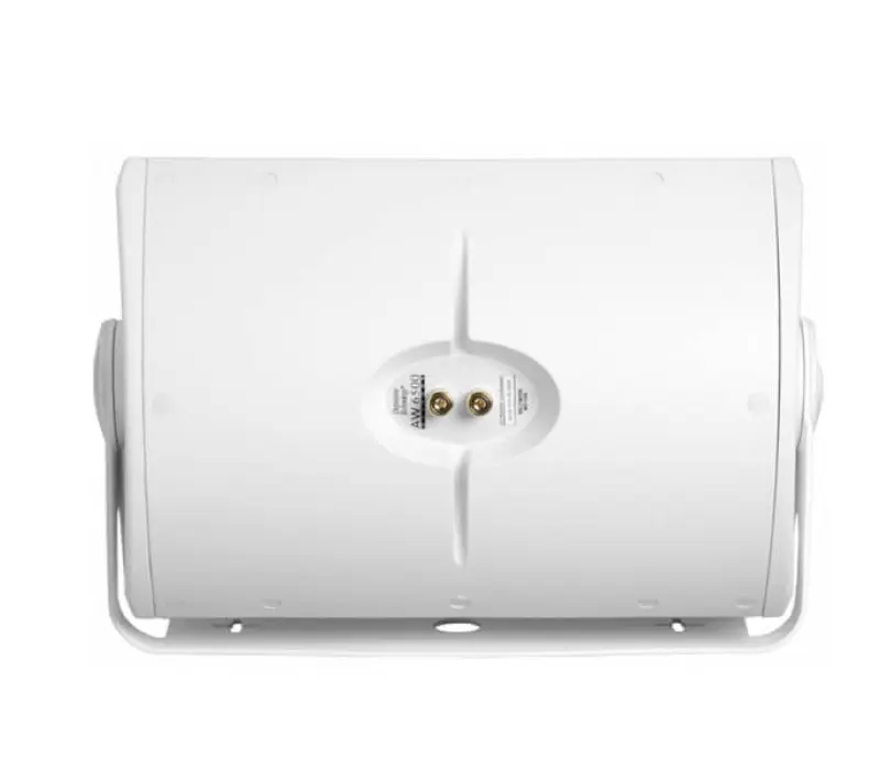 DEFINITIVE TECHNOLOGY Громкоговоритель AW6500 БЕЛЫЙ, Kinodrive.kz — фото 2