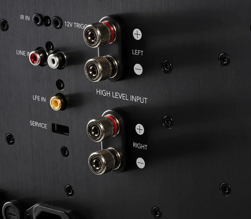 DEFINITIVE TECHNOLOGY Громкоговоритель DN12 ЧЕРНЫЙ, Kinodrive.kz — фото 7