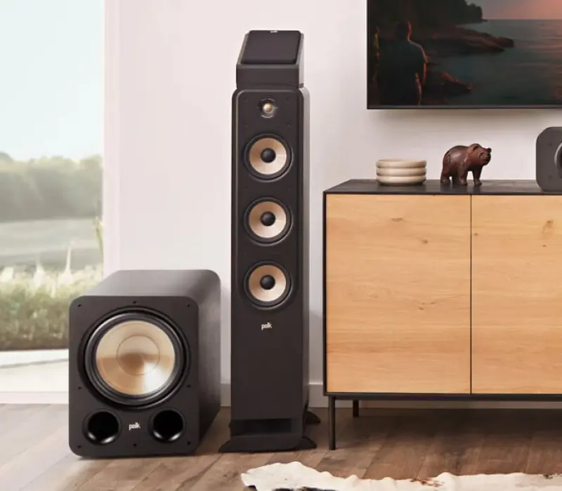 POLK AUDIO Сабвуфер Sig Elite ES10 Sub ЧЕРНЫЙ, Kinodrive.kz &mdash; фото 3