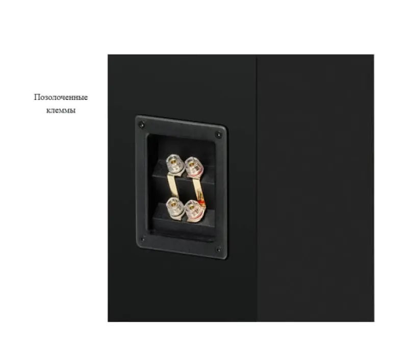 PRO-JECT Акустическая система Speaker Box 12 E Carbon САТИНОВЫЙ ЧЕРНЫЙ EAN:9120122298473 (Пара), Kinodrive.kz &mdash; фото 5