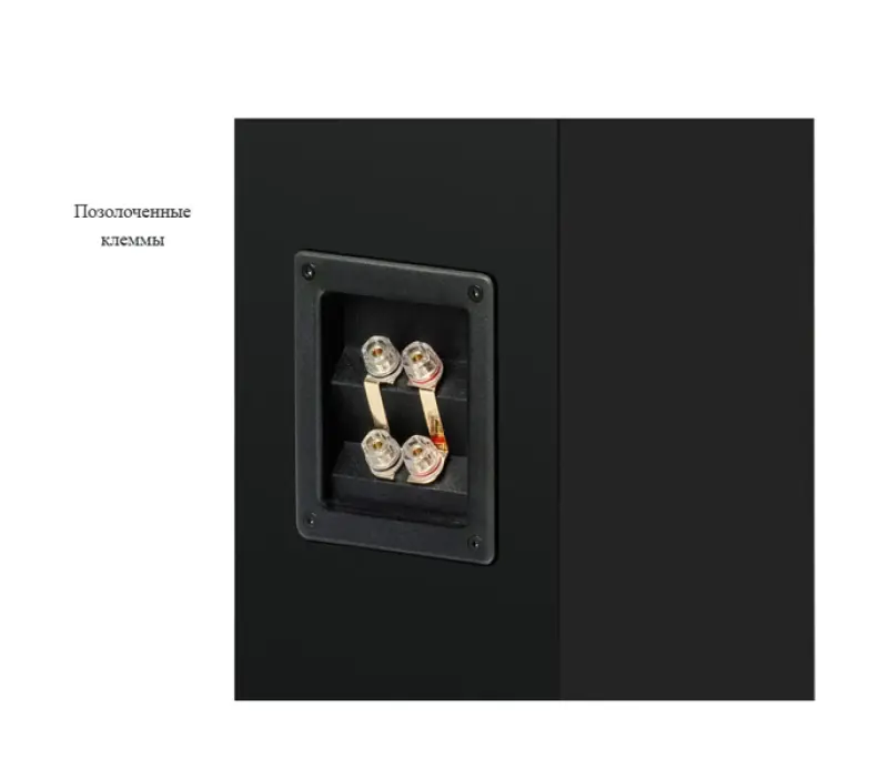 PRO-JECT Акустическая система Speaker Box 12 E Carbon ОРЕХ EAN:9120122298527 (Пара), Kinodrive.kz &mdash; фото 6