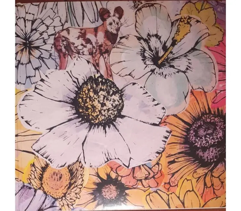 Виниловая пластинка Maroon 5 - Jordi: Universal, Kinodrive.kz — фото 10