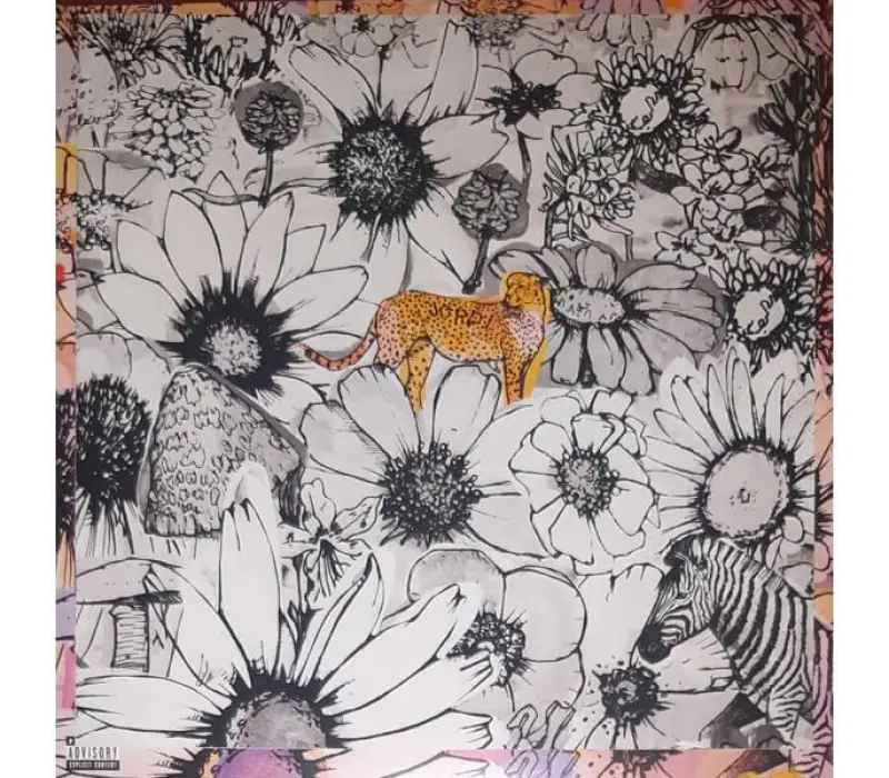 Виниловая пластинка Maroon 5 - Jordi: Universal, Kinodrive.kz — фото 5