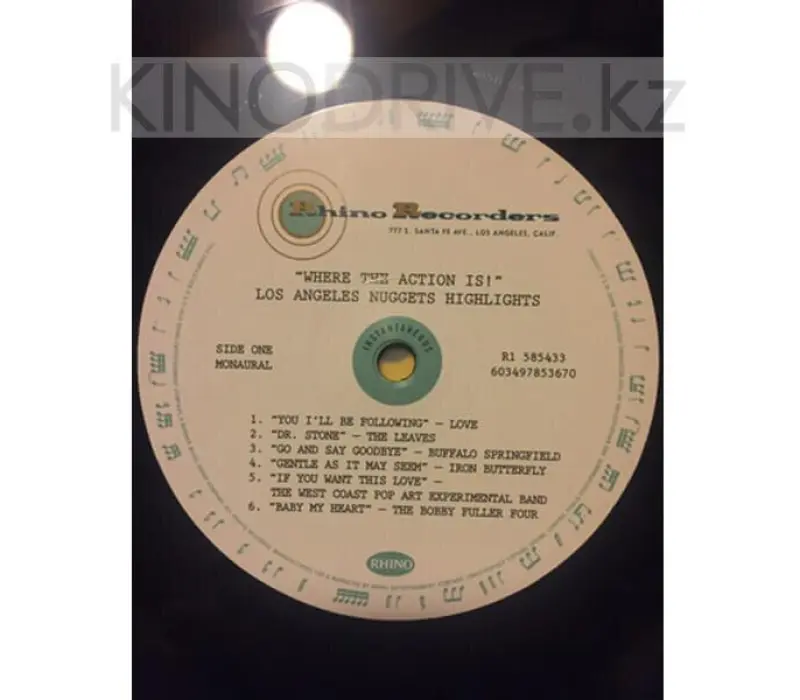 Виниловая пластинка VARIOUS ARTISTS – Where The Action Is! (Los Angeles Nuggets), Kinodrive.kz — фото 10