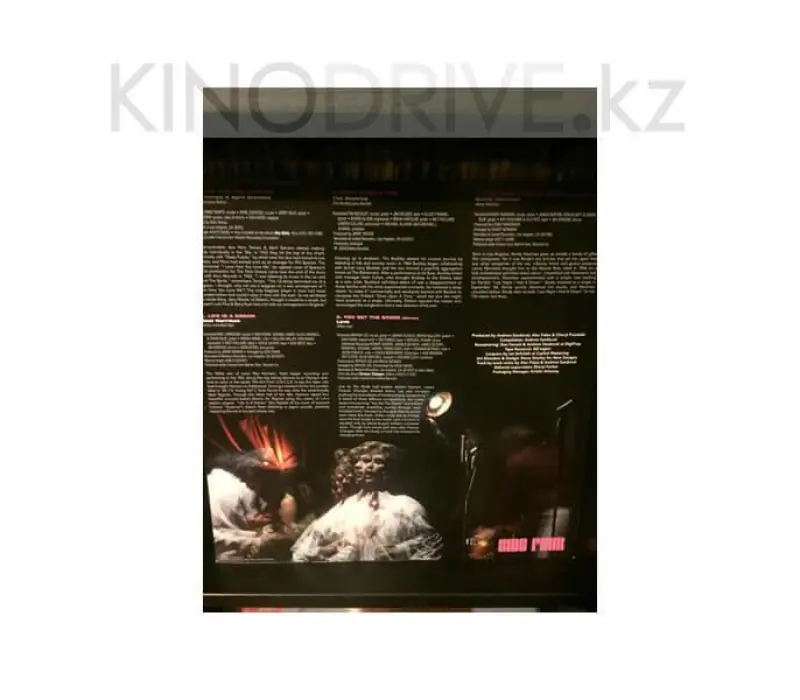 Виниловая пластинка VARIOUS ARTISTS – Where The Action Is! (Los Angeles Nuggets), Kinodrive.kz — фото 3