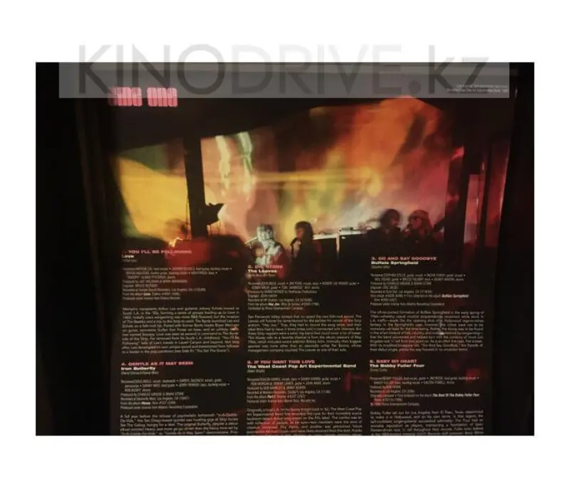 Виниловая пластинка VARIOUS ARTISTS – Where The Action Is! (Los Angeles Nuggets), Kinodrive.kz — фото 4