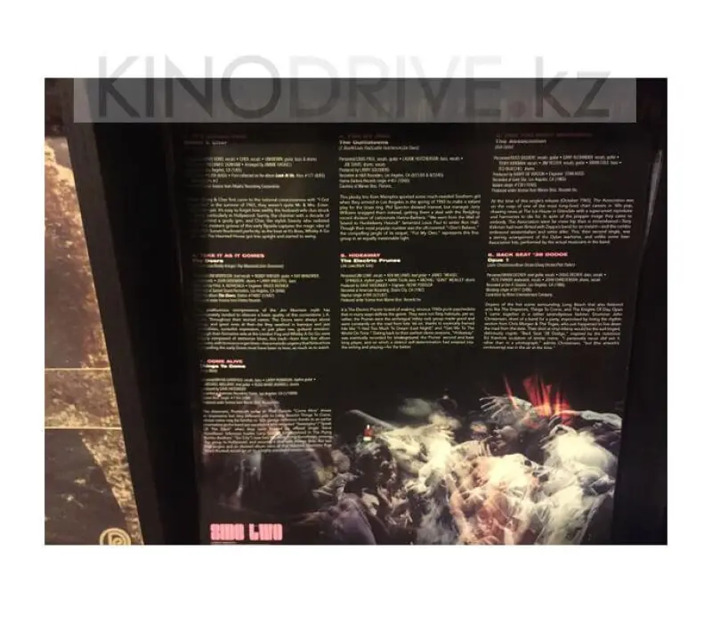 Виниловая пластинка VARIOUS ARTISTS – Where The Action Is! (Los Angeles Nuggets), Kinodrive.kz — фото 5