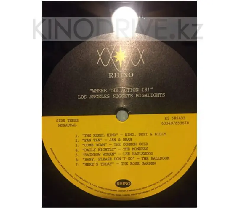 Виниловая пластинка VARIOUS ARTISTS – Where The Action Is! (Los Angeles Nuggets), Kinodrive.kz — фото 7