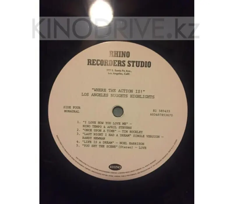 Виниловая пластинка VARIOUS ARTISTS – Where The Action Is! (Los Angeles Nuggets), Kinodrive.kz — фото 8
