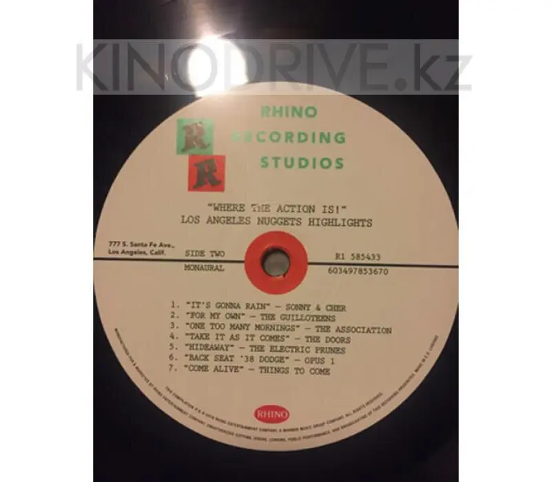 Виниловая пластинка VARIOUS ARTISTS – Where The Action Is! (Los Angeles Nuggets), Kinodrive.kz — фото 9