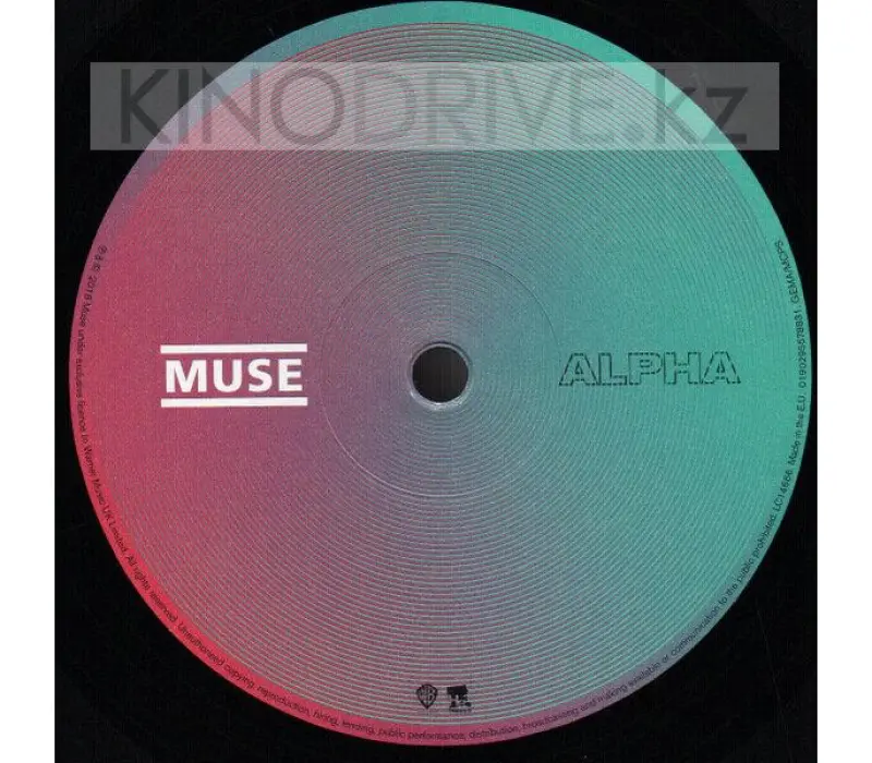 Виниловая пластинка MUSE - Simulation Theory, Kinodrive.kz — фото 3