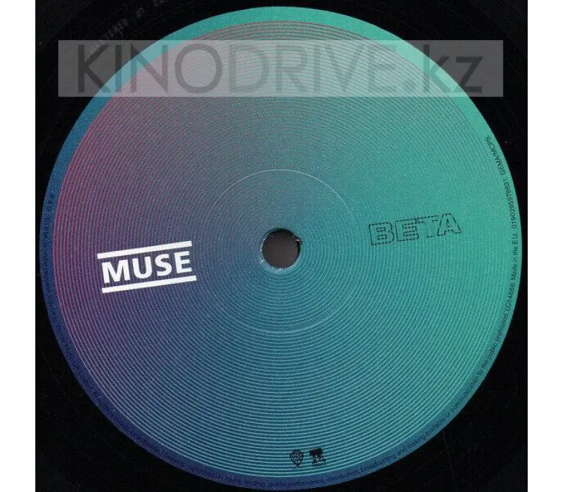 Виниловая пластинка MUSE - Simulation Theory, Kinodrive.kz — фото 4