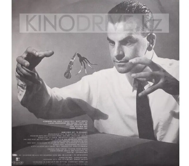 Виниловая пластинка AEROSMITH: DONE WITH MIRRORS, Kinodrive.kz — фото 2