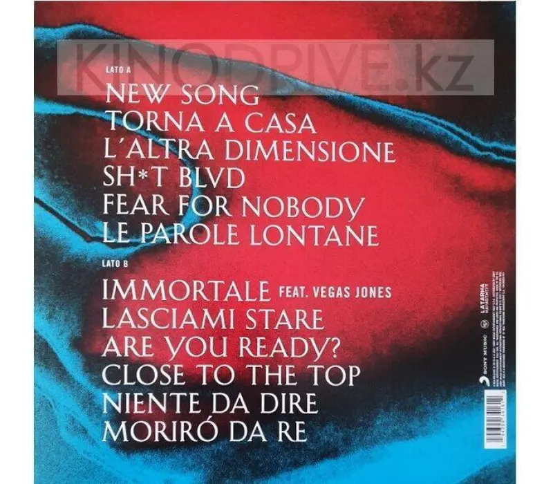 Виниловая пластинка Maneskin – Il Ballo Della Vita Coloured: Rca, Kinodrive.kz — фото 2