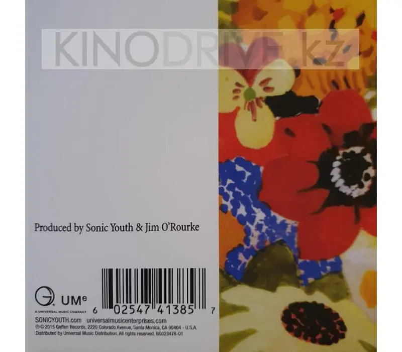Виниловая пластинка SONIC YOUTH - Nyc Ghosts and Flowers, Kinodrive.kz — фото 5