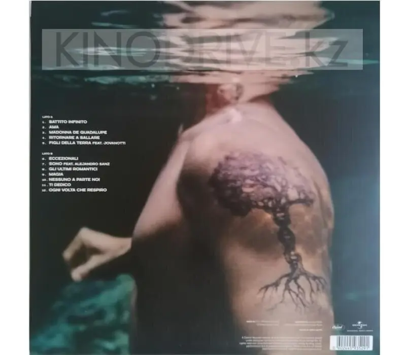 Виниловая пластинка Ramazzotti, Eros-Battito Infinito: Universal, Kinodrive.kz — фото 2