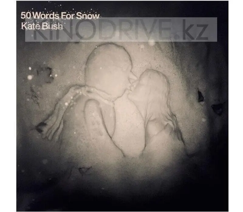 Виниловая пластинка BUSH KATE, 50 WORDS FOR SNOW, Kinodrive.kz — фото 2