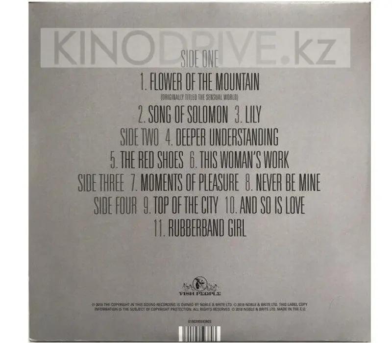 Виниловая пластинка BUSH KATE, DIRECTOR S CUT, Kinodrive.kz — фото 2