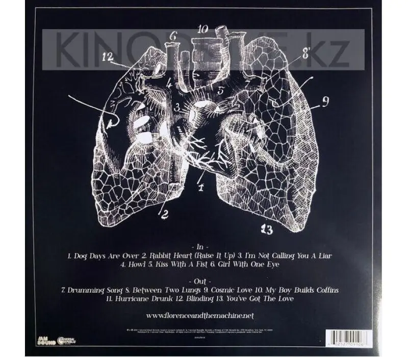 Виниловая пластинка FLORENCE AND THE MACHINE - LUNGS Label: Universal, Kinodrive.kz — фото 2