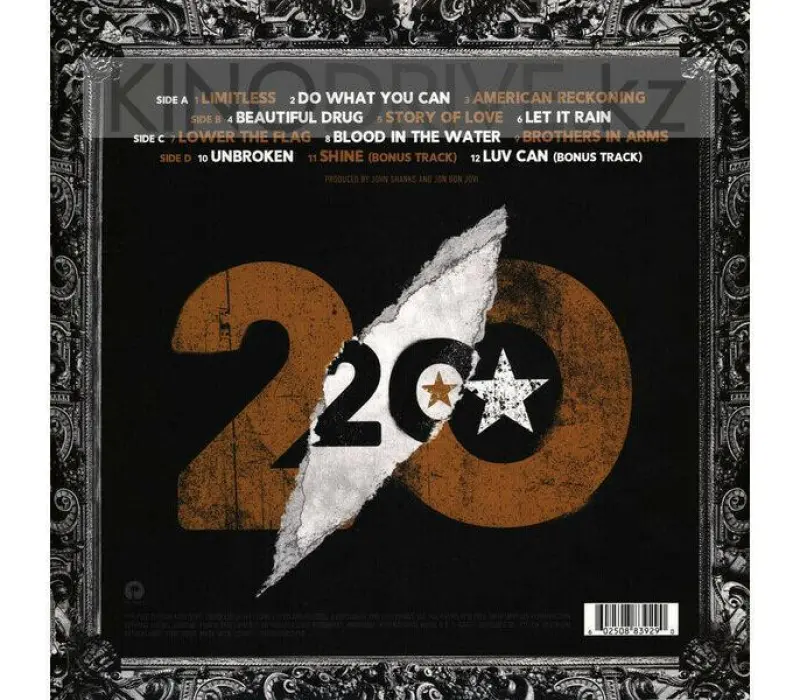 Виниловая пластинка BON JOVI - 2020, Kinodrive.kz — фото 2