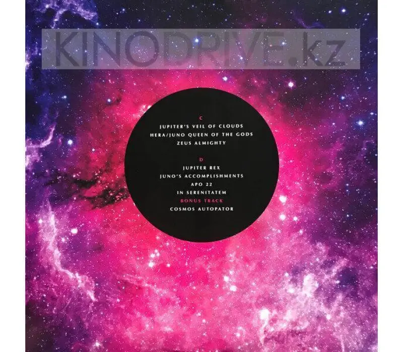 Виниловая пластинка VANGELIS– Juno To Jupiter, Kinodrive.kz — фото 3
