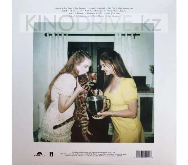 Виниловая пластинка Lana Del Rey – Blue Banisters, Kinodrive.kz — фото 2