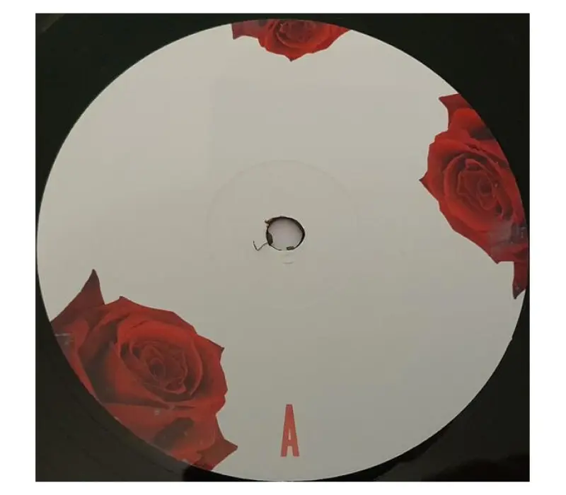 Виниловая пластинка LANA DEL REY / BORN TO DIE, Kinodrive.kz — фото 6