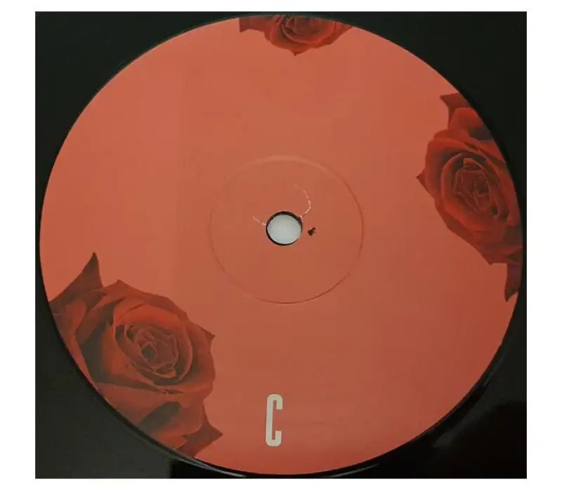 Виниловая пластинка LANA DEL REY / BORN TO DIE, Kinodrive.kz — фото 8