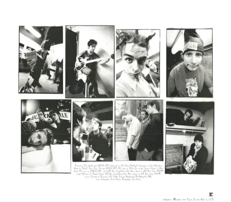 Виниловая пластинка Green Day – Dookie, Kinodrive.kz — фото 3