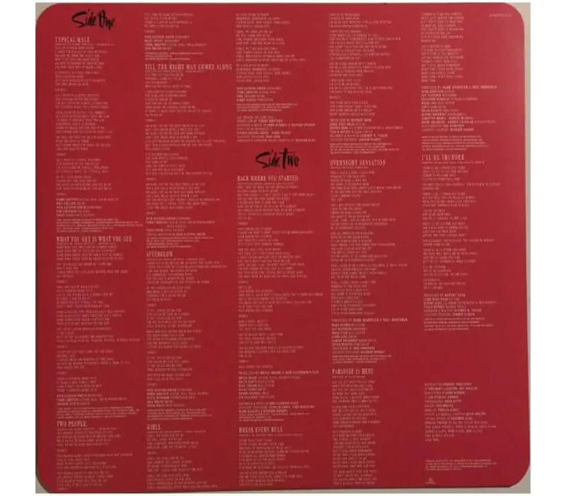 Виниловая пластинка Tina Turner – Break Every Rule, Kinodrive.kz — фото 2