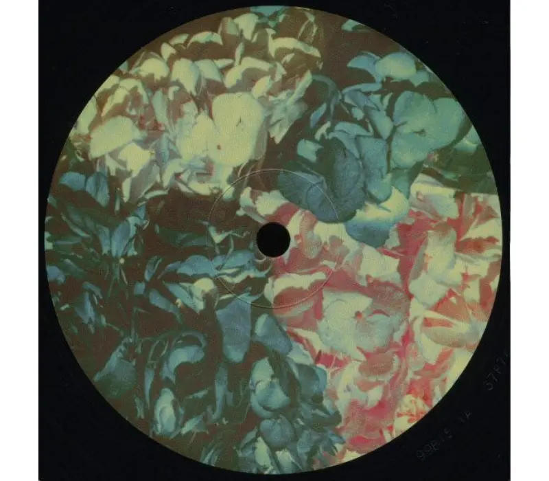 Виниловая пластинка Lana Del Rey – Ultraviolence, Kinodrive.kz — фото 13