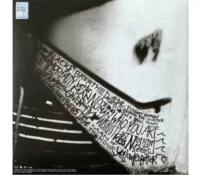 Виниловая пластинка Pearl Jam – Rearviewmirror (Greatest Hits 1991-2003: Volume 2), Kinodrive.kz — фото 10