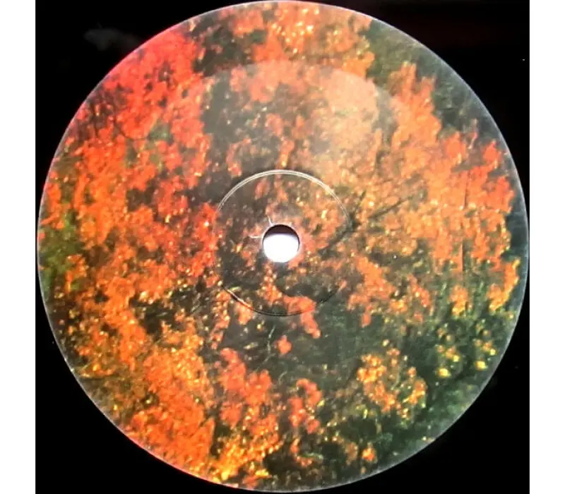 Виниловая пластинка Tame Impala – Innerspeaker, Kinodrive.kz — фото 5