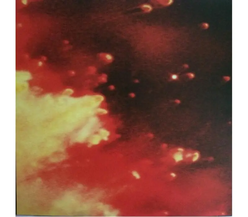 Виниловая пластинка Pearl Jam – Binaural, Kinodrive.kz — фото 2