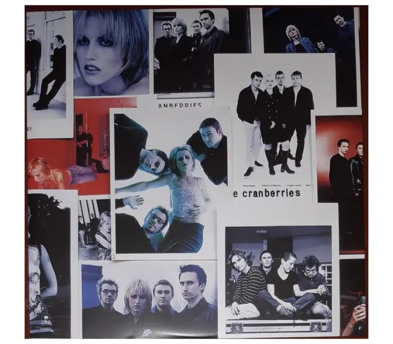 Виниловая пластинка The Cranberries – Stars: The Best Of 1992-2002, Kinodrive.kz — фото 7