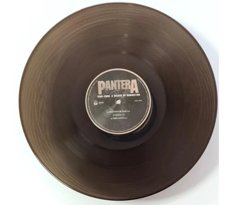 Виниловая пластинка Pantera – 1990-2000: A Decade Of Domination, Kinodrive.kz — фото 9