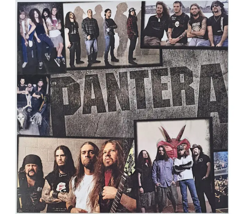 Виниловая пластинка Pantera – 1990-2000: A Decade Of Domination, Kinodrive.kz — фото 4