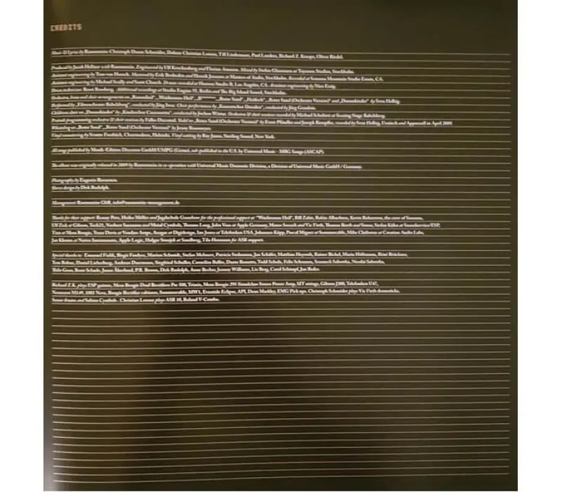 Виниловая пластинка Rammstein – Liebe Ist Fur Alle Da, Kinodrive.kz — фото 2