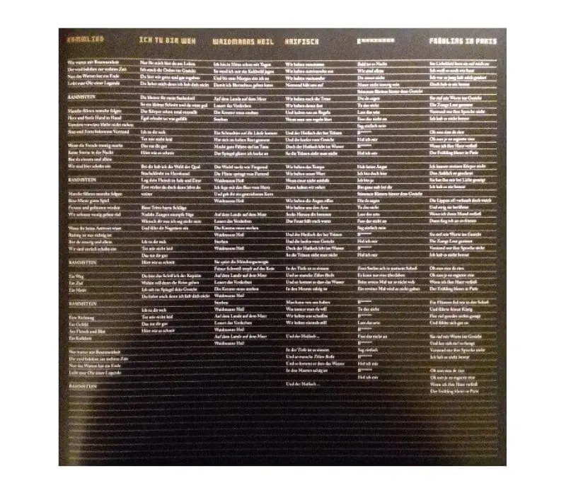 Виниловая пластинка Rammstein – Liebe Ist Fur Alle Da, Kinodrive.kz — фото 3