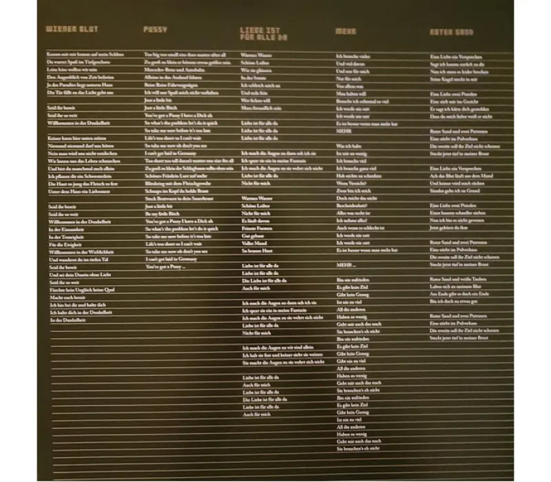 Виниловая пластинка Rammstein – Liebe Ist Fur Alle Da, Kinodrive.kz — фото 4