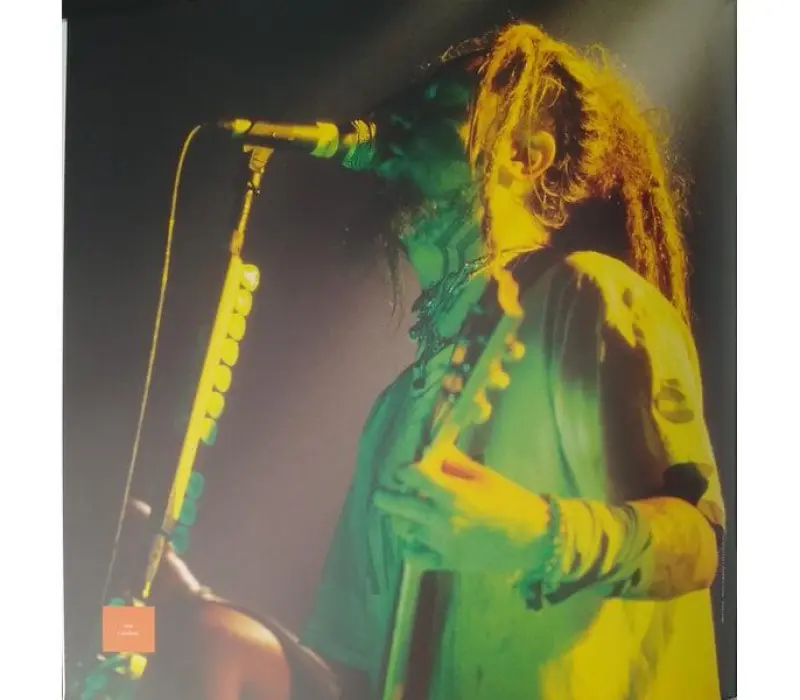 Виниловая пластинка Sepultura – Arise, Kinodrive.kz — фото 13