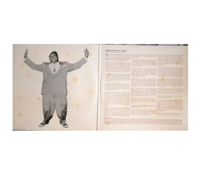 Виниловая пластинка Fats Domino – 40 Golden Classics, Kinodrive.kz — фото 7