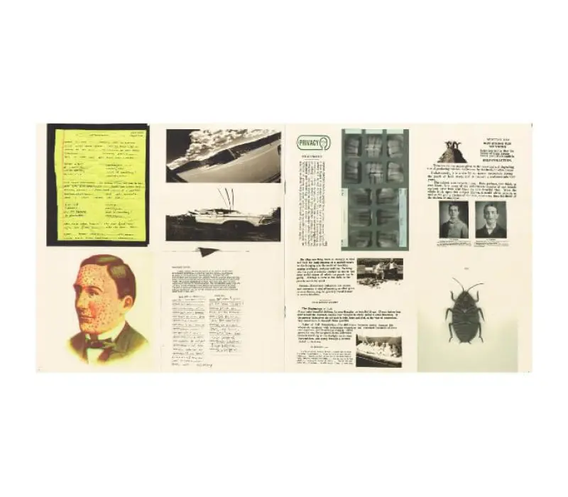 Виниловая пластинка Pearl Jam – Vitalogy, Kinodrive.kz — фото 4