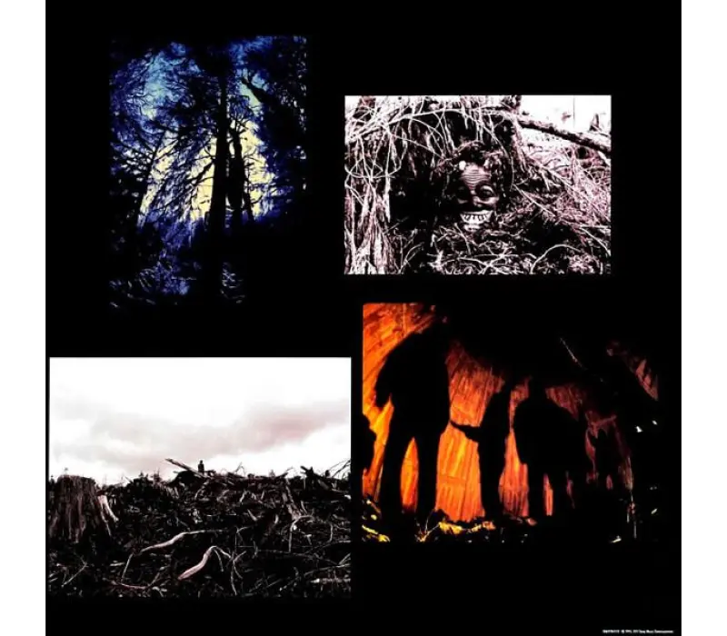 Виниловая пластинка Pearl Jam – Vs., Kinodrive.kz — фото 6