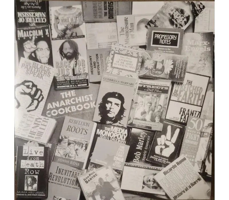 Виниловая пластинка Rage Against The Machine – Evil Empire, Kinodrive.kz — фото 5