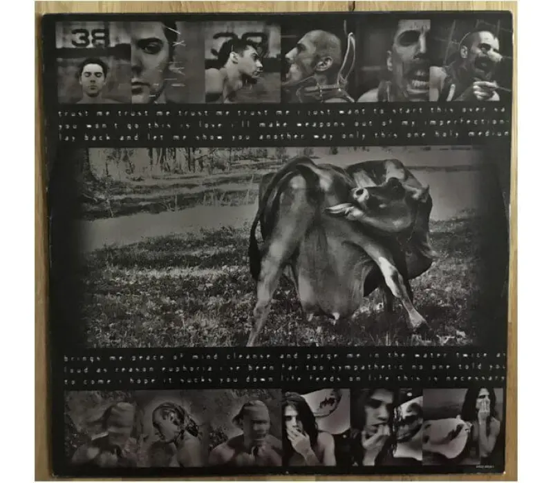 Виниловая пластинка Tool – Undertow, Kinodrive.kz — фото 6